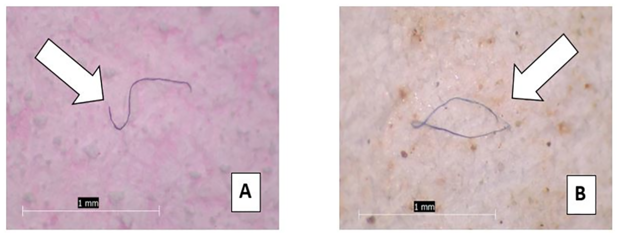 mikroplasty najdene v tichom a atlanstickom oceane